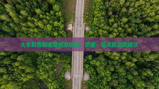 大丰到西安城墙旅游攻略：交通、景点及游玩建议