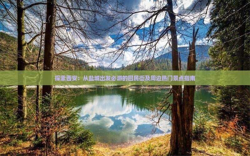 探索西安：从盐城出发必游的回民街及周边热门景点指南