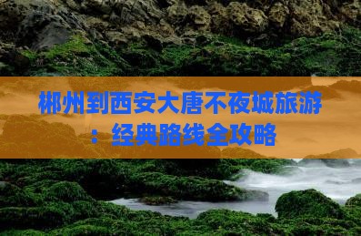 郴州到西安大唐不夜城旅游：经典路线全攻略
