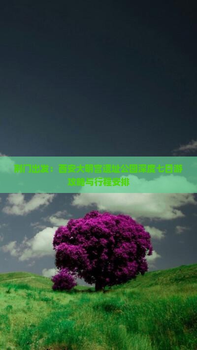 荆门出发：西安大明宫遗址公园深度七日游攻略与行程安排