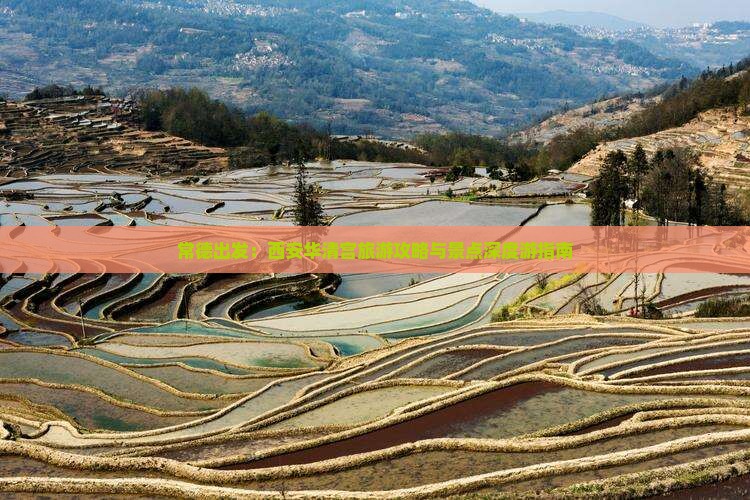 常德出发：西安华清宫旅游攻略与景点深度游指南