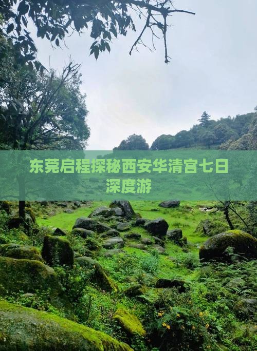 东莞启程探秘西安华清宫七日深度游