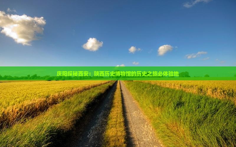庆阳探秘西安：陕西历史博物馆的历史之旅必体验地