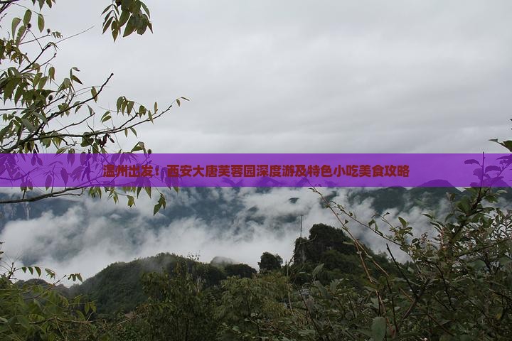 温州出发：西安大唐芙蓉园深度游及特色小吃美食攻略