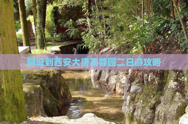 聊城到西安大唐芙蓉园二日游攻略
