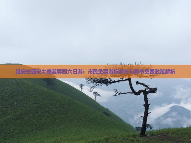 延安去西安大唐芙蓉园六日游：市民免票游玩时长与春节免费政策解析