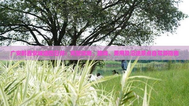 广安到西安城墙四日游：完整攻略、路线、费用及沿途景点自驾游指南