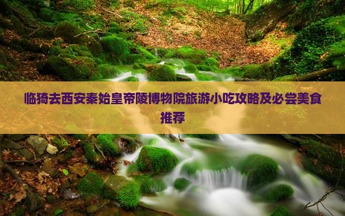 临猗去西安秦始皇帝陵博物院旅游小吃攻略及必尝美食推荐