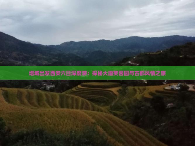 塔城出发西安六日深度游：探秘大唐芙蓉园与古都风情之旅