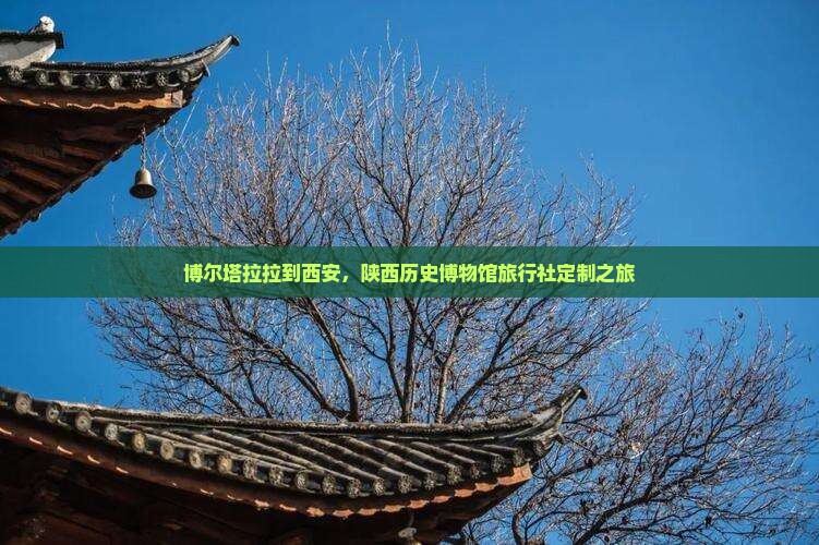 博尔塔拉拉到西安，陕西历史博物馆旅行社定制之旅