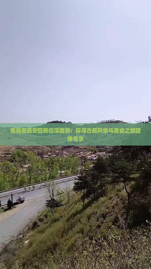 恩施至西安回民街深度游：探寻古都风情与美食之旅团体专享