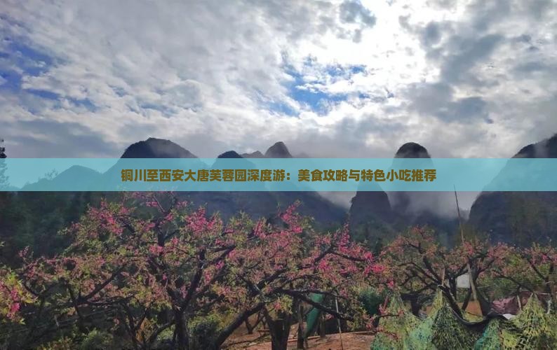 铜川至西安大唐芙蓉园深度游：美食攻略与特色小吃推荐