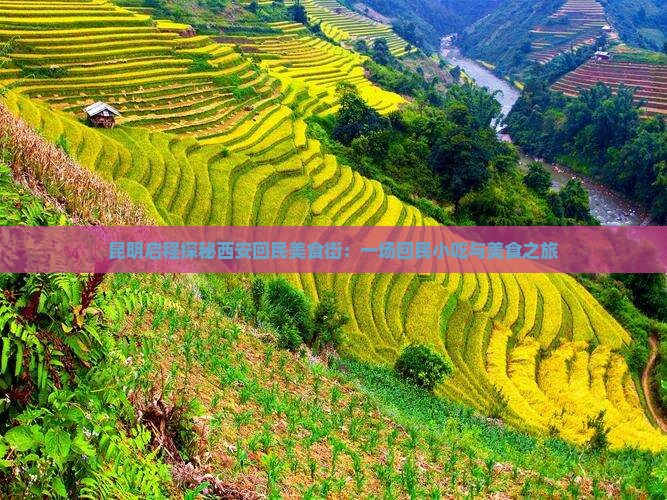 昆明启程探秘西安回民美食街：一场回民小吃与美食之旅