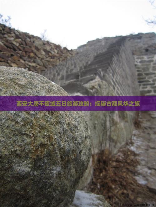 西安大唐不夜城五日旅游攻略：探秘古都风华之旅