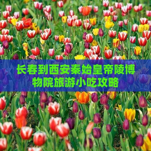 长春到西安秦始皇帝陵博物院旅游小吃攻略