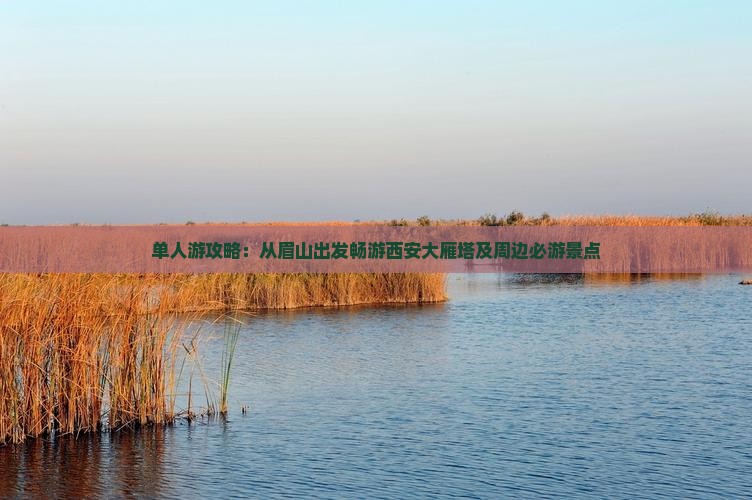 单人游攻略：从眉山出发畅游西安大雁塔及周边必游景点
