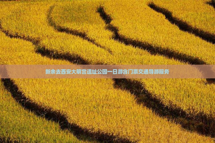 新余去西安大明宫遗址公园一日游含门票交通导游服务
