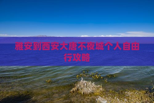 雅安到西安大唐不夜城个人自由行攻略