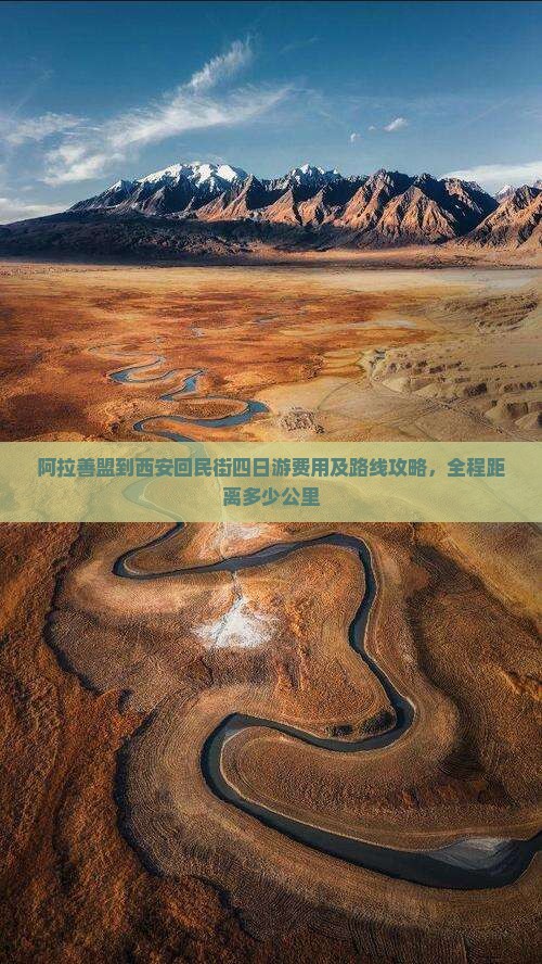 阿拉善盟到西安回民街四日游费用及路线攻略，全程距离多少公里
