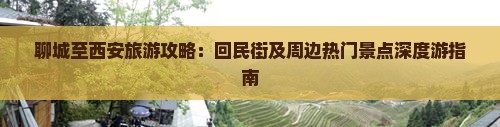 聊城至西安旅游攻略：回民街及周边热门景点深度游指南