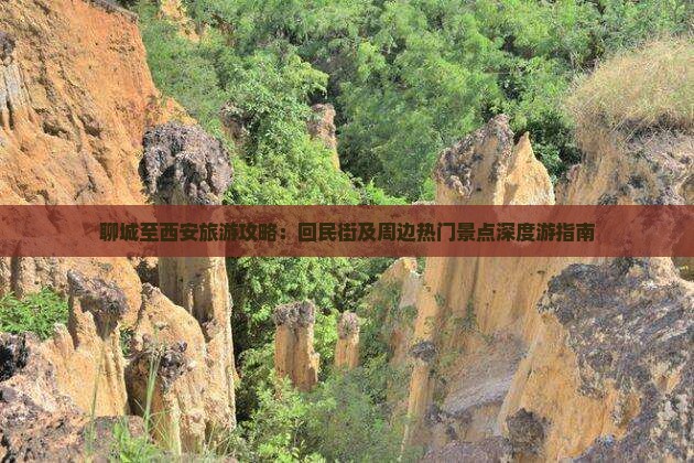 聊城至西安旅游攻略：回民街及周边热门景点深度游指南