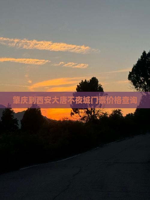 肇庆到西安大唐不夜城门票价格查询