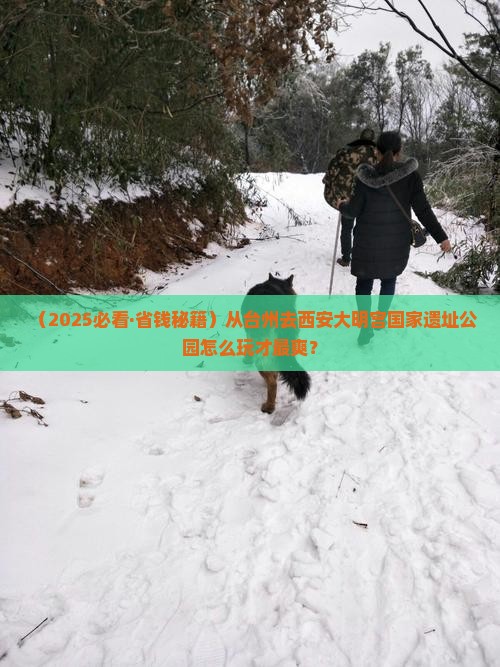 台州到西安大明宫国家遗址公园自由团
