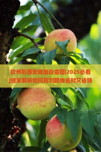 钦州到西安城墙自由团