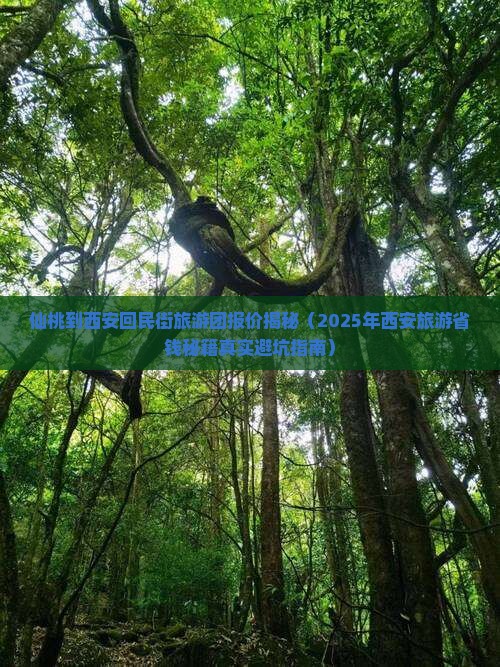 仙桃去西安回民街大型旅游团