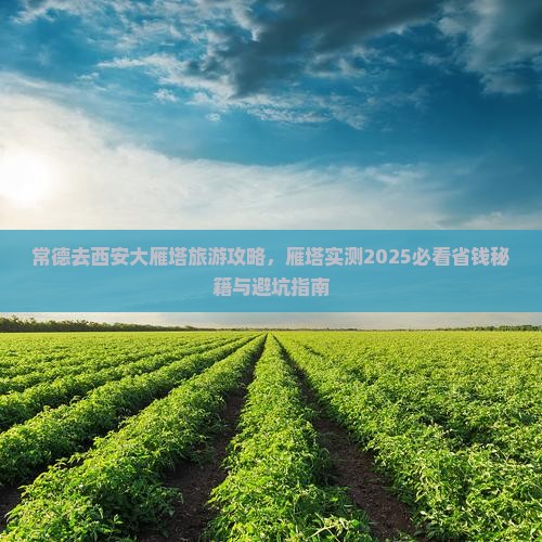 常德去西安大雁塔自由行