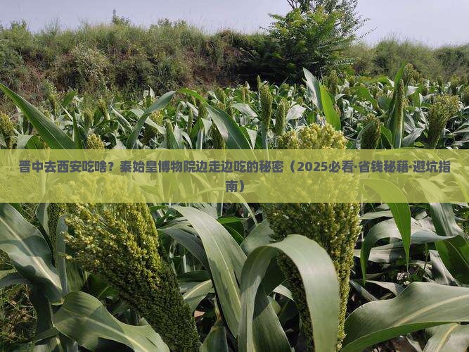 晋中到西安秦始皇帝陵博物院旅游小吃