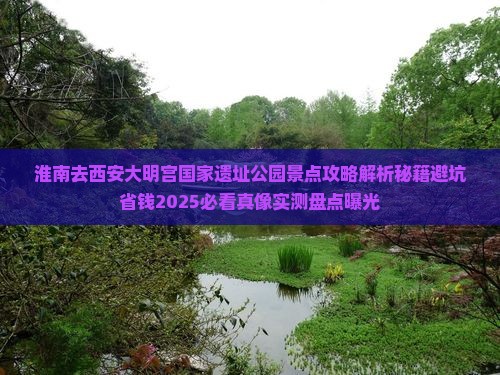 淮南去西安大明宫国家遗址公园景点