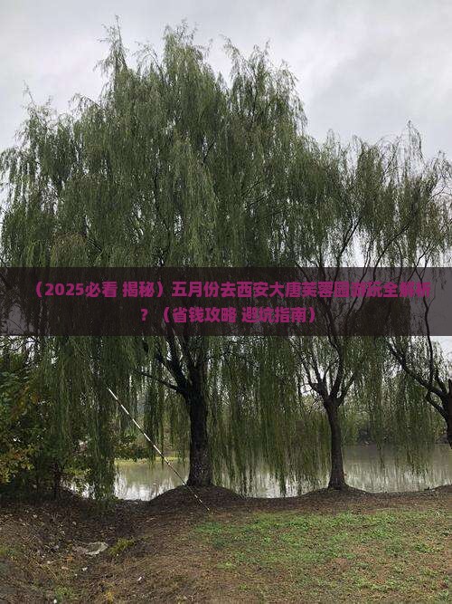 五月去西安大唐芙蓉园景点