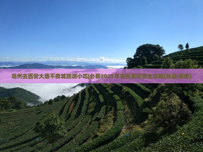 亳州去西安大唐不夜城旅游小吃