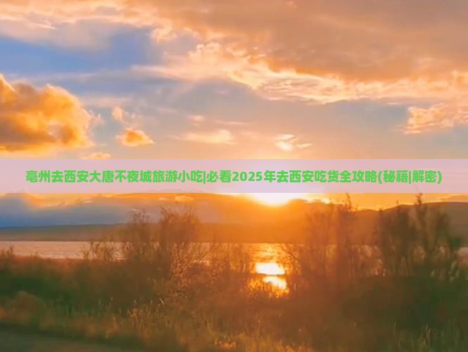 亳州去西安大唐不夜城旅游小吃