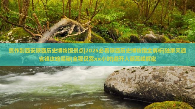 焦作到西安陕西历史博物馆景点