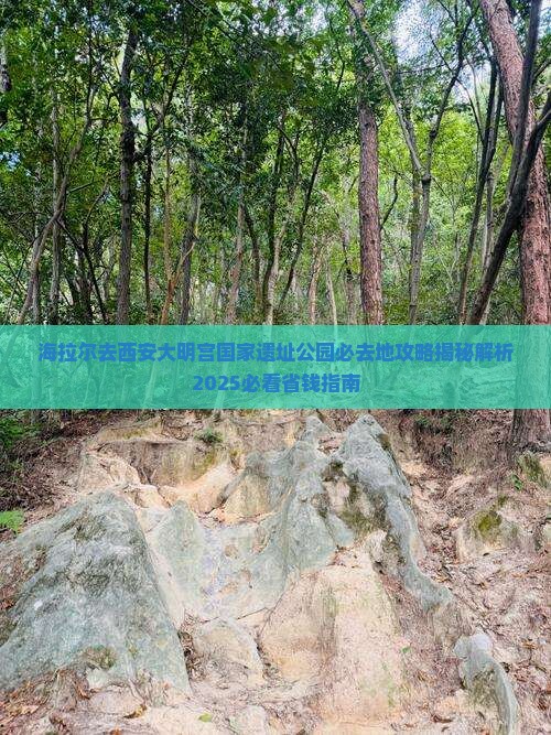 海拉尔去西安大明宫国家遗址公园必去地