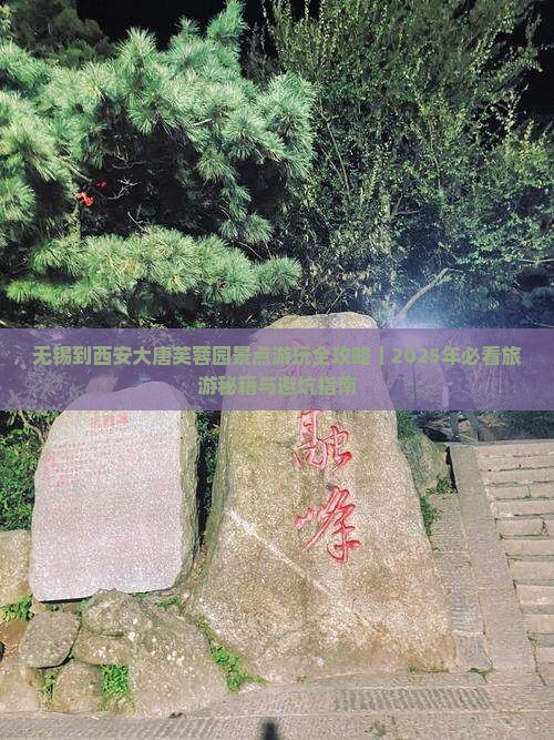 无锡到西安大唐芙蓉园景点