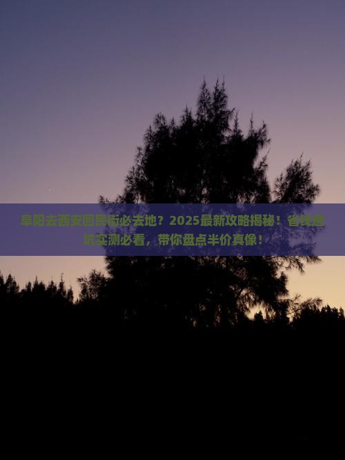 阜阳去西安回民街必去地