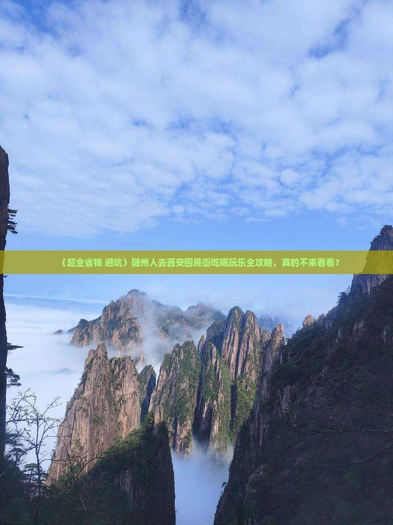 随州去西安回民街旅游