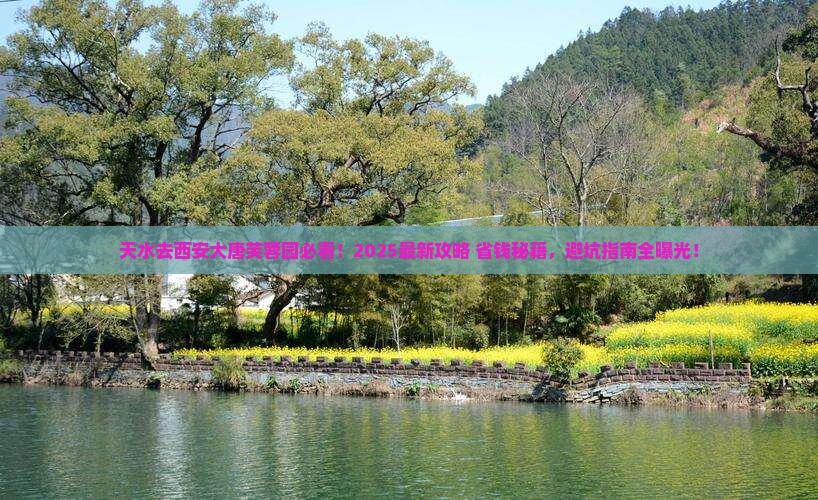 天水去西安大唐芙蓉园攻略