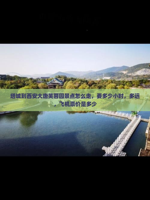 塔城到西安大唐芙蓉园景点