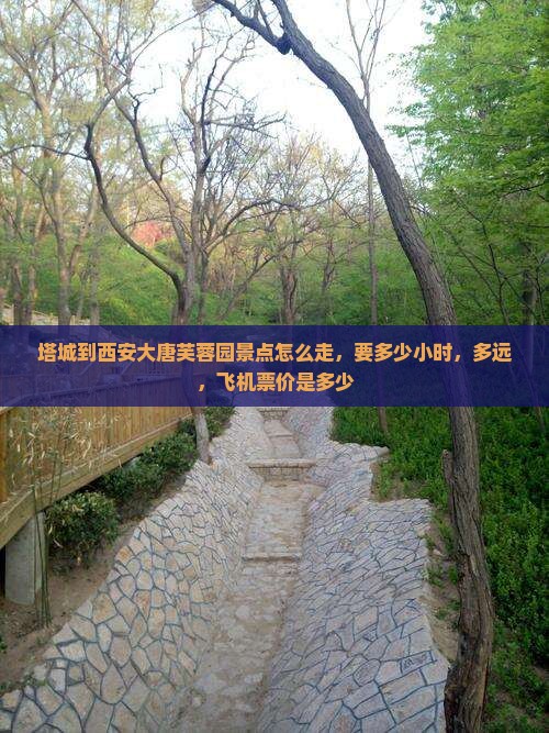 塔城到西安大唐芙蓉园景点