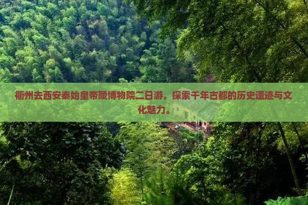 衢州去西安秦始皇帝陵博物院二日游