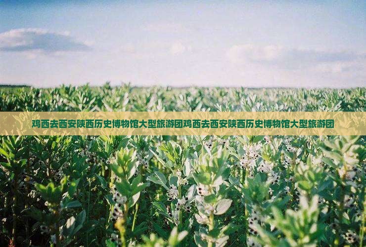 鸡西去西安陕西历史博物馆大型旅游团