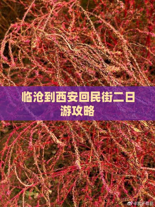 临沧到西安回民街二日游