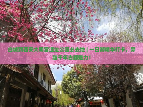 白城到西安大明宫国家遗址公园必去地