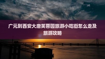 广元到西安大唐芙蓉园旅游小吃