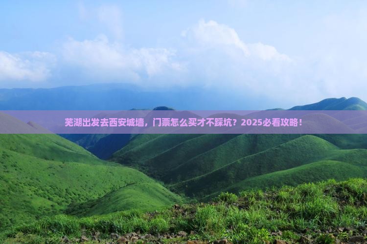 芜湖去西安城墙门票
