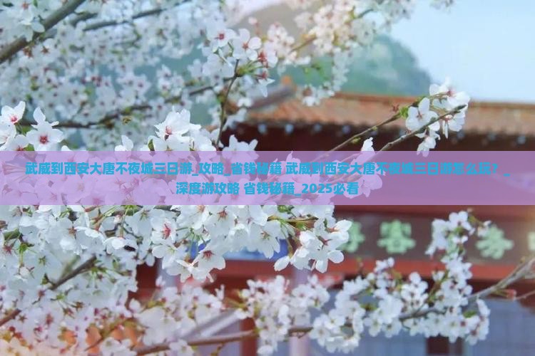 武威到西安大唐不夜城三日游